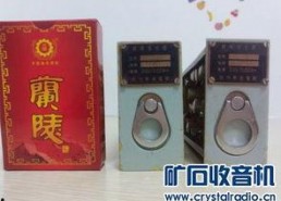 国产精品入,匠心独运，引领时代潮流的青春成长记