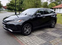 91po国产,揭秘神秘东方古国的历史与文化